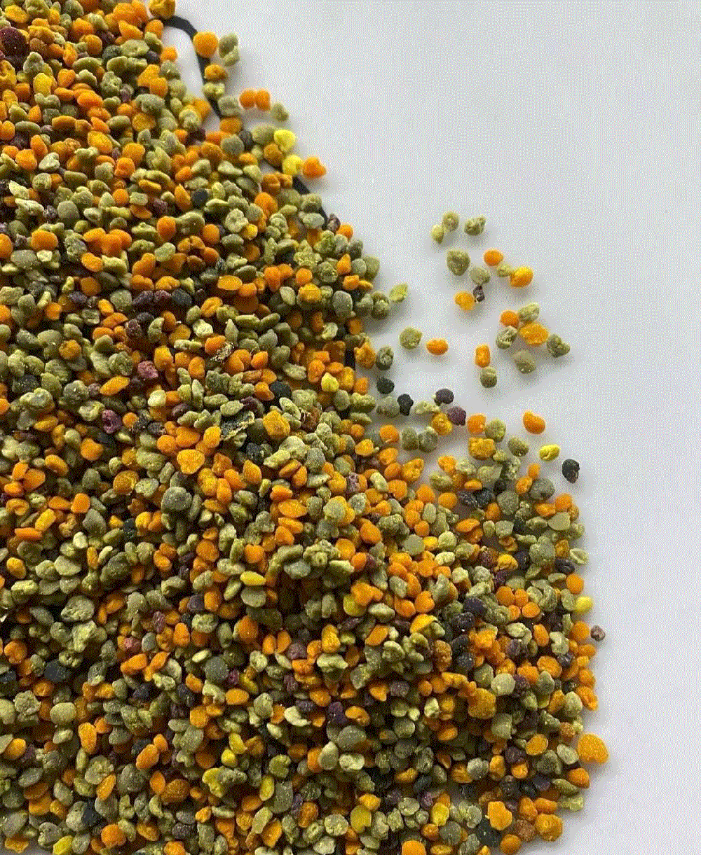 Polline d'Api dettaglio